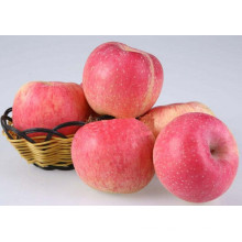 China supply good price delicious new season grade A red fuji fresh apple
